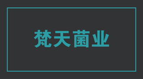 食品行业阿里冲锋衣设计款式